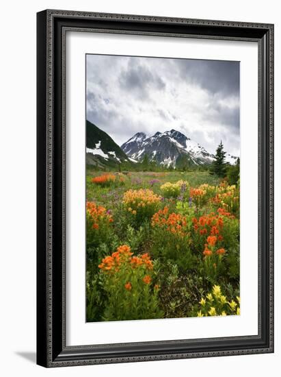 Mountain Meadow, Canada-David Nunuk-Framed Photographic Print