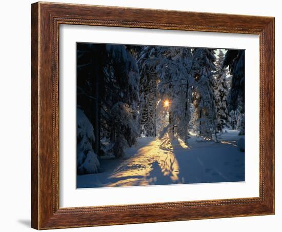 Mountain Meadow, Summer-Thonig-Framed Photographic Print