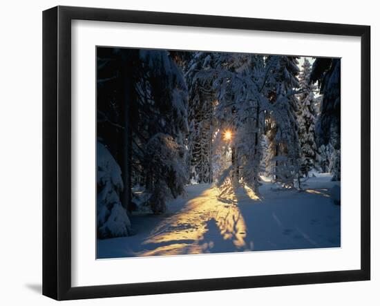 Mountain Meadow, Summer-Thonig-Framed Photographic Print