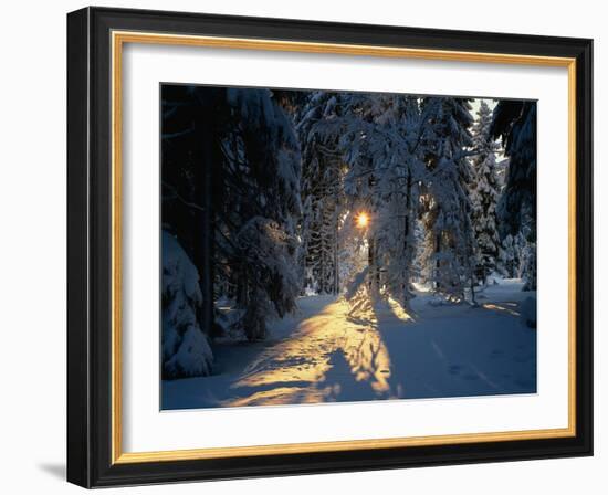 Mountain Meadow, Summer-Thonig-Framed Photographic Print