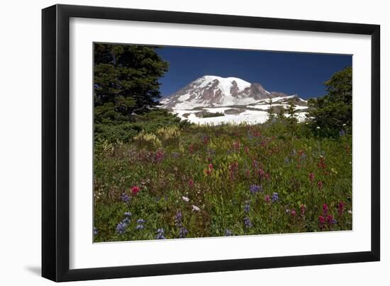 Mountain Meadow-Bob Gibbons-Framed Photographic Print