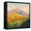 Mountain Morning-Julia Purinton-Framed Stretched Canvas