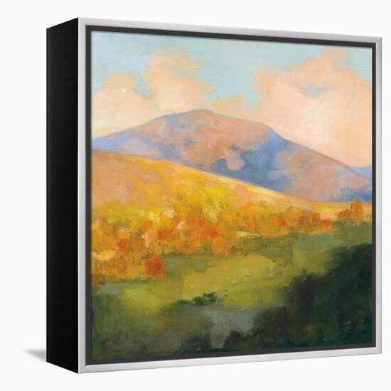 Mountain Morning-Julia Purinton-Framed Stretched Canvas