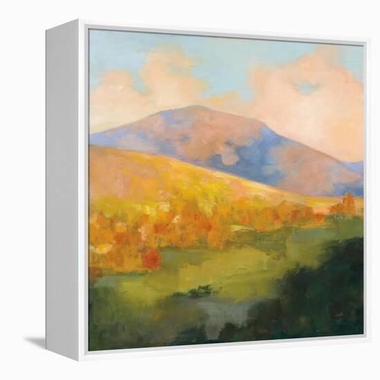 Mountain Morning-Julia Purinton-Framed Stretched Canvas