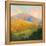 Mountain Morning-Julia Purinton-Framed Stretched Canvas