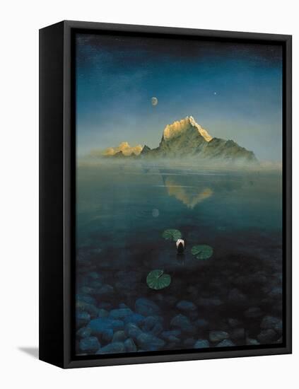 Mountain over Lake-Simon Cook-Framed Premier Image Canvas