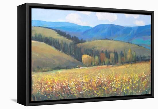Mountain Pass I-Tim OToole-Framed Stretched Canvas