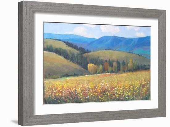 Mountain Pass I-Tim OToole-Framed Art Print