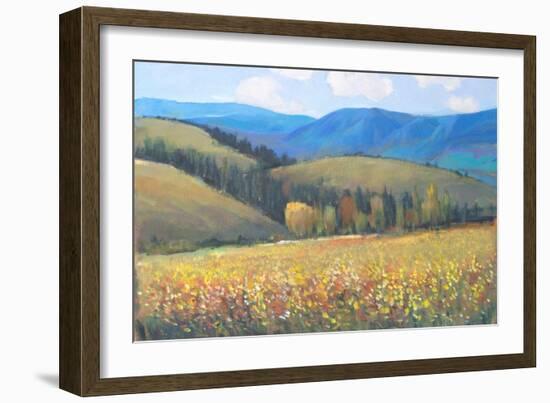 Mountain Pass I-Tim OToole-Framed Art Print