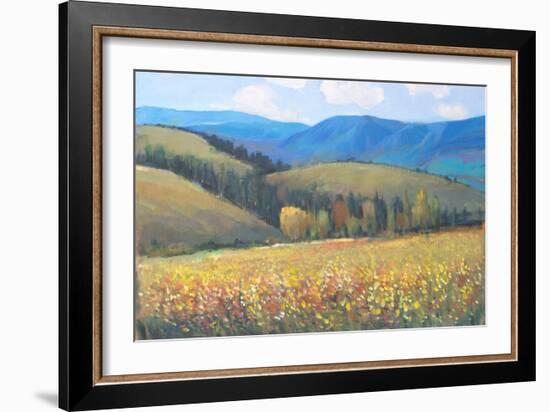 Mountain Pass I-Tim OToole-Framed Art Print