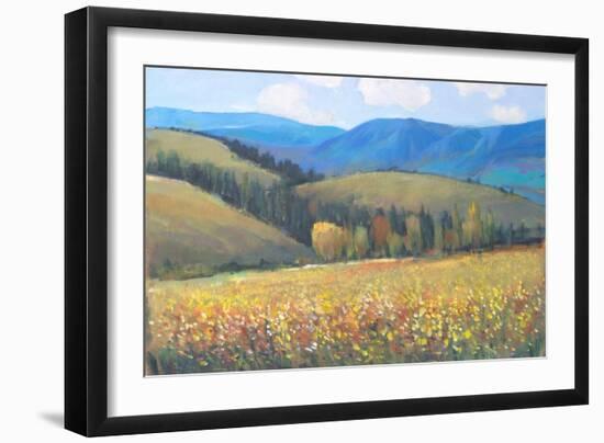 Mountain Pass I-Tim OToole-Framed Art Print