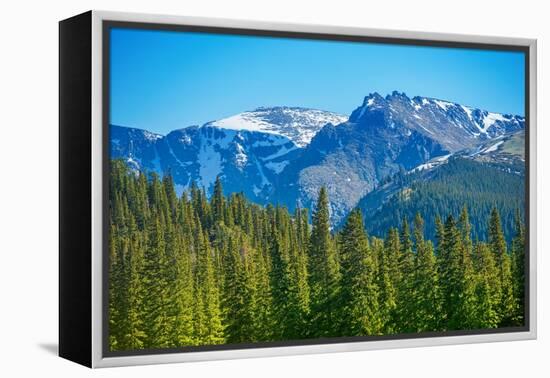 Mountain Peak-duallogic-Framed Premier Image Canvas