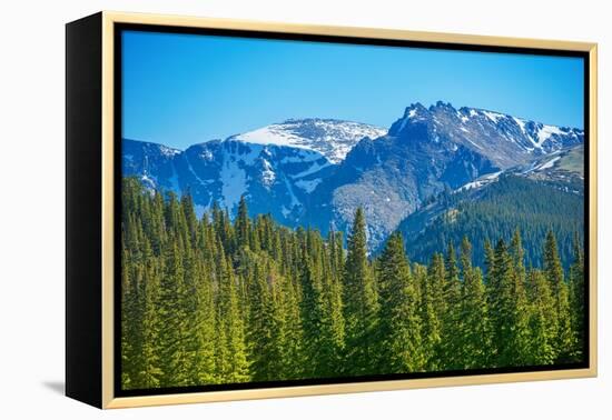 Mountain Peak-duallogic-Framed Premier Image Canvas