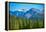 Mountain Peak-duallogic-Framed Premier Image Canvas