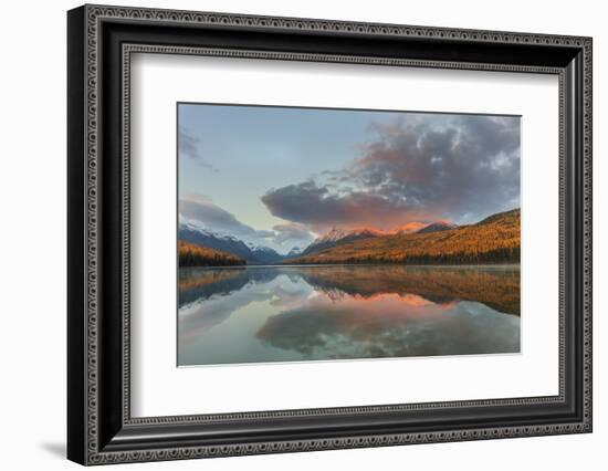 Mountain peaks reflect into Bowman Lake in autumn, Glacier National Park, Montana, USA-Chuck Haney-Framed Photographic Print