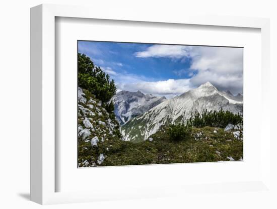 Mountain Pines and Grass in the Back of the Reps, View at Kaltwasserspitzet and Southern Sonnenspit-Rolf Roeckl-Framed Photographic Print