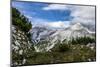 Mountain Pines and Grass in the Back of the Reps, View at Kaltwasserspitzet and Southern Sonnenspit-Rolf Roeckl-Mounted Photographic Print