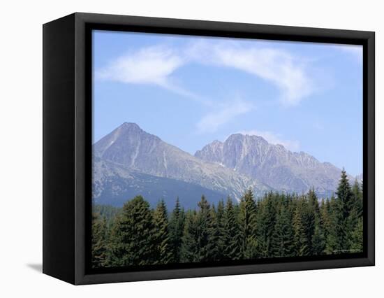 Mountain Pines, Vysoke Tatry Mountains, Vysoke Tatry, Slovakia-Richard Nebesky-Framed Premier Image Canvas