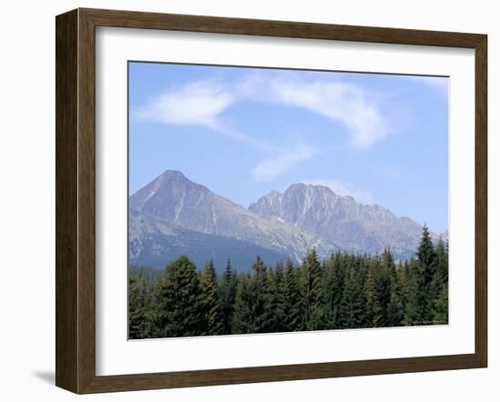 Mountain Pines, Vysoke Tatry Mountains, Vysoke Tatry, Slovakia-Richard Nebesky-Framed Photographic Print