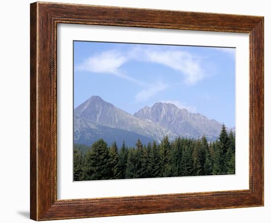 Mountain Pines, Vysoke Tatry Mountains, Vysoke Tatry, Slovakia-Richard Nebesky-Framed Photographic Print