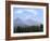 Mountain Pines, Vysoke Tatry Mountains, Vysoke Tatry, Slovakia-Richard Nebesky-Framed Photographic Print