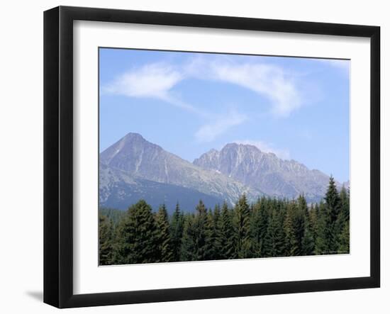 Mountain Pines, Vysoke Tatry Mountains, Vysoke Tatry, Slovakia-Richard Nebesky-Framed Photographic Print