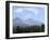 Mountain Pines, Vysoke Tatry Mountains, Vysoke Tatry, Slovakia-Richard Nebesky-Framed Photographic Print