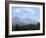 Mountain Pines, Vysoke Tatry Mountains, Vysoke Tatry, Slovakia-Richard Nebesky-Framed Photographic Print