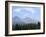 Mountain Pines, Vysoke Tatry Mountains, Vysoke Tatry, Slovakia-Richard Nebesky-Framed Photographic Print