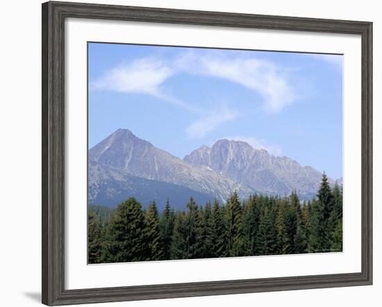 Mountain Pines, Vysoke Tatry Mountains, Vysoke Tatry, Slovakia-Richard Nebesky-Framed Photographic Print