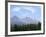 Mountain Pines, Vysoke Tatry Mountains, Vysoke Tatry, Slovakia-Richard Nebesky-Framed Photographic Print