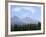 Mountain Pines, Vysoke Tatry Mountains, Vysoke Tatry, Slovakia-Richard Nebesky-Framed Photographic Print