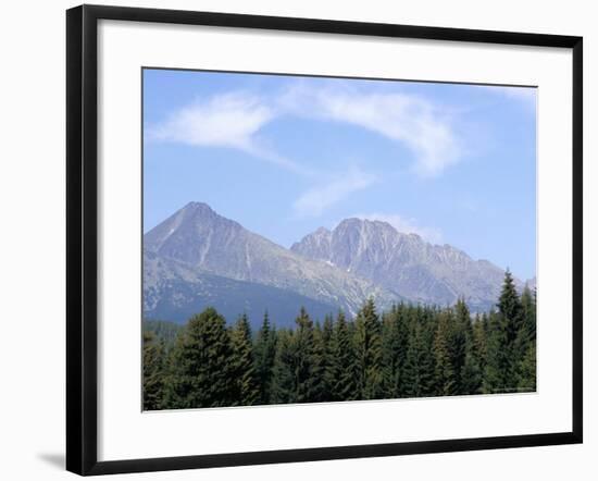 Mountain Pines, Vysoke Tatry Mountains, Vysoke Tatry, Slovakia-Richard Nebesky-Framed Photographic Print