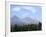 Mountain Pines, Vysoke Tatry Mountains, Vysoke Tatry, Slovakia-Richard Nebesky-Framed Photographic Print