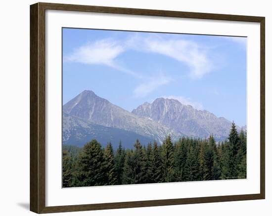 Mountain Pines, Vysoke Tatry Mountains, Vysoke Tatry, Slovakia-Richard Nebesky-Framed Photographic Print