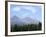 Mountain Pines, Vysoke Tatry Mountains, Vysoke Tatry, Slovakia-Richard Nebesky-Framed Photographic Print