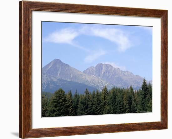 Mountain Pines, Vysoke Tatry Mountains, Vysoke Tatry, Slovakia-Richard Nebesky-Framed Photographic Print