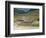 Mountain Railway, Bernina Pass, Switzerland, Europe-Michael DeFreitas-Framed Photographic Print