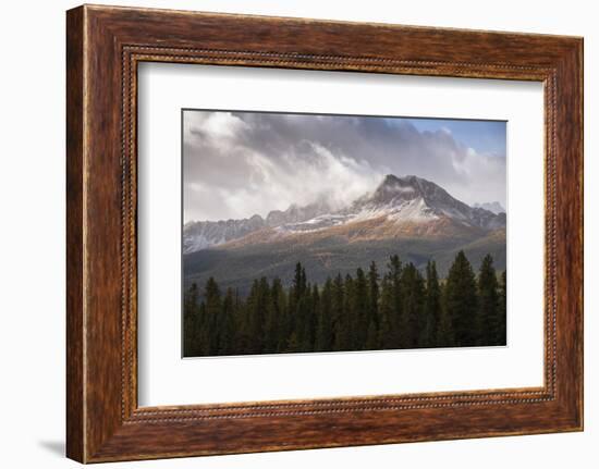 Mountain range at Morant's Curve in autumn foliage, Banff National Park, Alberta, Canada-Jon Reaves-Framed Photographic Print