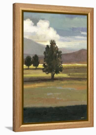 Mountain Range II-Norman Wyatt Jr^-Framed Stretched Canvas