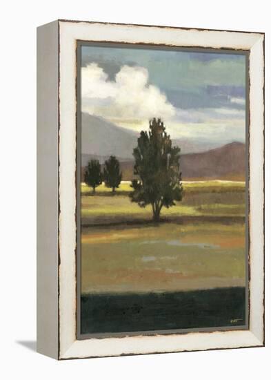 Mountain Range II-Norman Wyatt Jr^-Framed Stretched Canvas