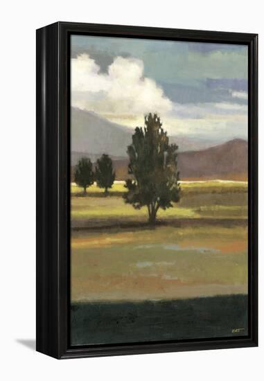 Mountain Range II-Norman Wyatt Jr^-Framed Stretched Canvas