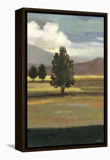 Mountain Range II-Norman Wyatt Jr^-Framed Stretched Canvas