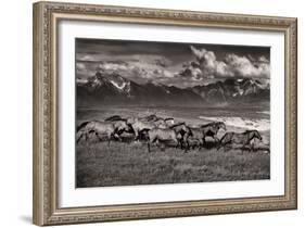Mountain Range Mavericks-Lisa Dearing-Framed Photographic Print