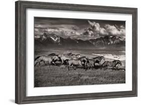 Mountain Range Mavericks-Lisa Dearing-Framed Photographic Print