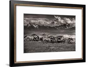 Mountain Range Mavericks-Lisa Dearing-Framed Photographic Print