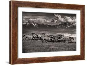 Mountain Range Mavericks-Lisa Dearing-Framed Photographic Print