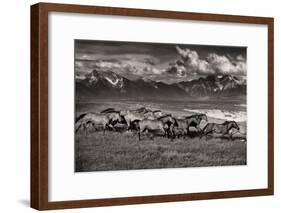 Mountain Range Mavericks-Lisa Dearing-Framed Photographic Print