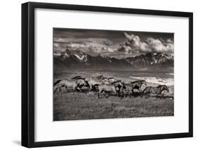 Mountain Range Mavericks-Lisa Dearing-Framed Photographic Print