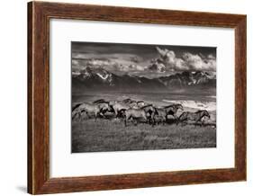 Mountain Range Mavericks-Lisa Dearing-Framed Photographic Print